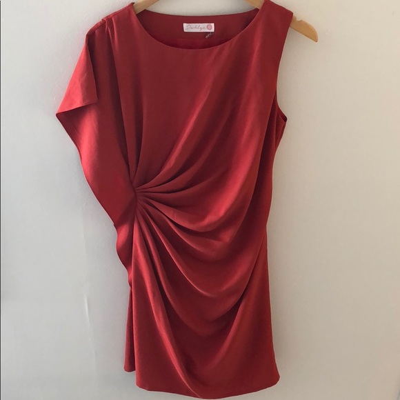 Dahlya Leora Rust Shift dress Stitch Fix size M - Picture 1 of 4